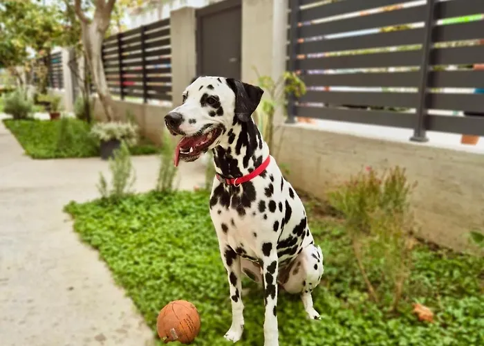 Modern Seaside Retreat With Private Patio And Parking - Blue Zone Homes Olympiakí Aktí